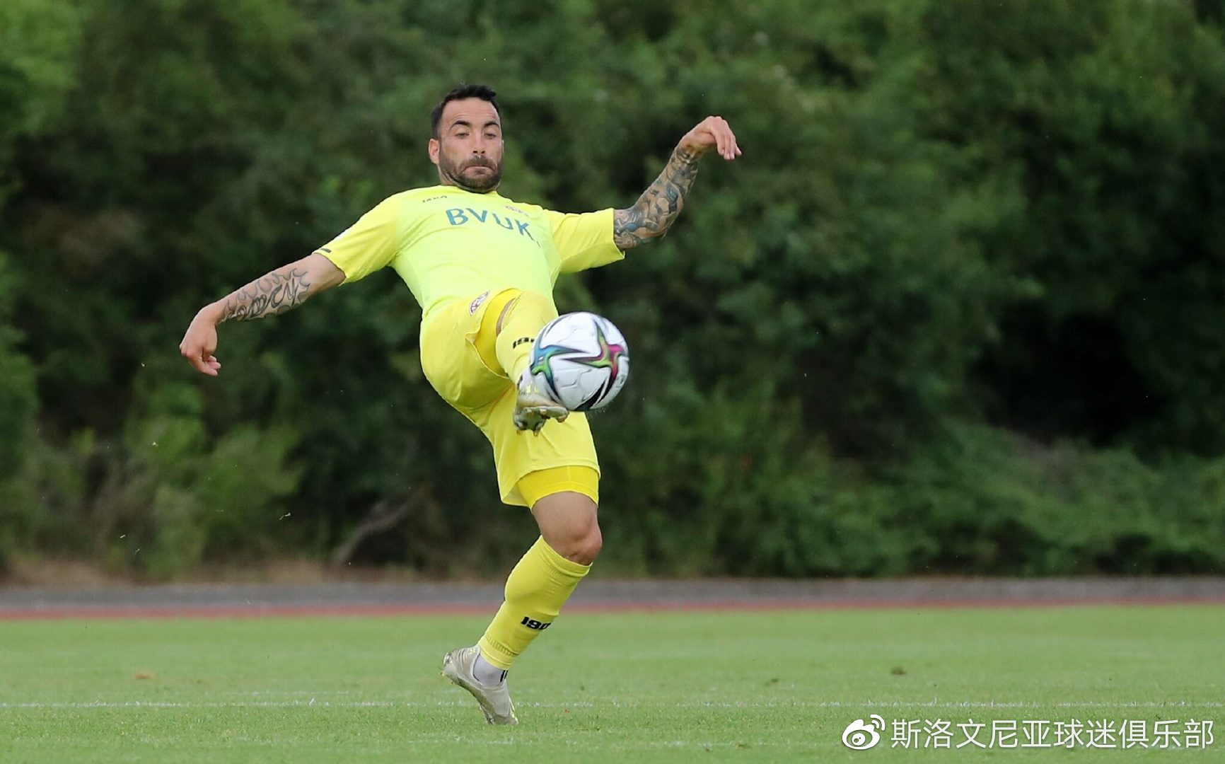 地面普罗旺斯踢球者在主场捧杯，实现历史性突破